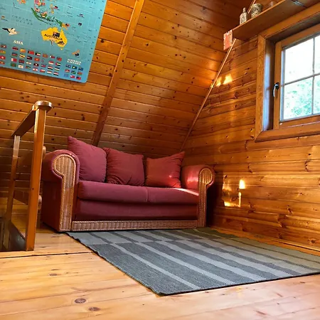 Zloty Klon Drewniany Tatil Evi Kijanka
