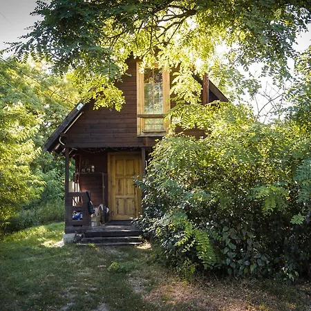 Tatil Evi Zloty Klon Drewniany Kijanka