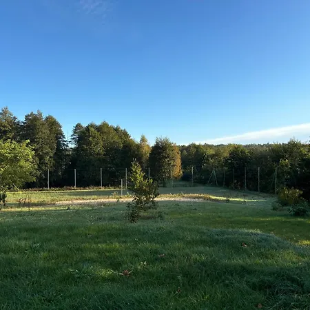 Holiday home Zloty Klon Drewniany Kijanka